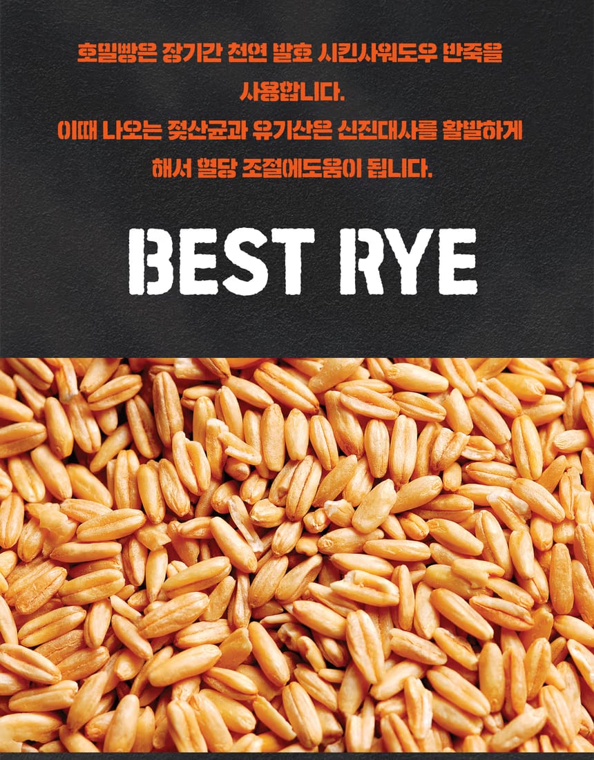 샌드위치빵 구조 컷 - 속살 밀도와 결 정리