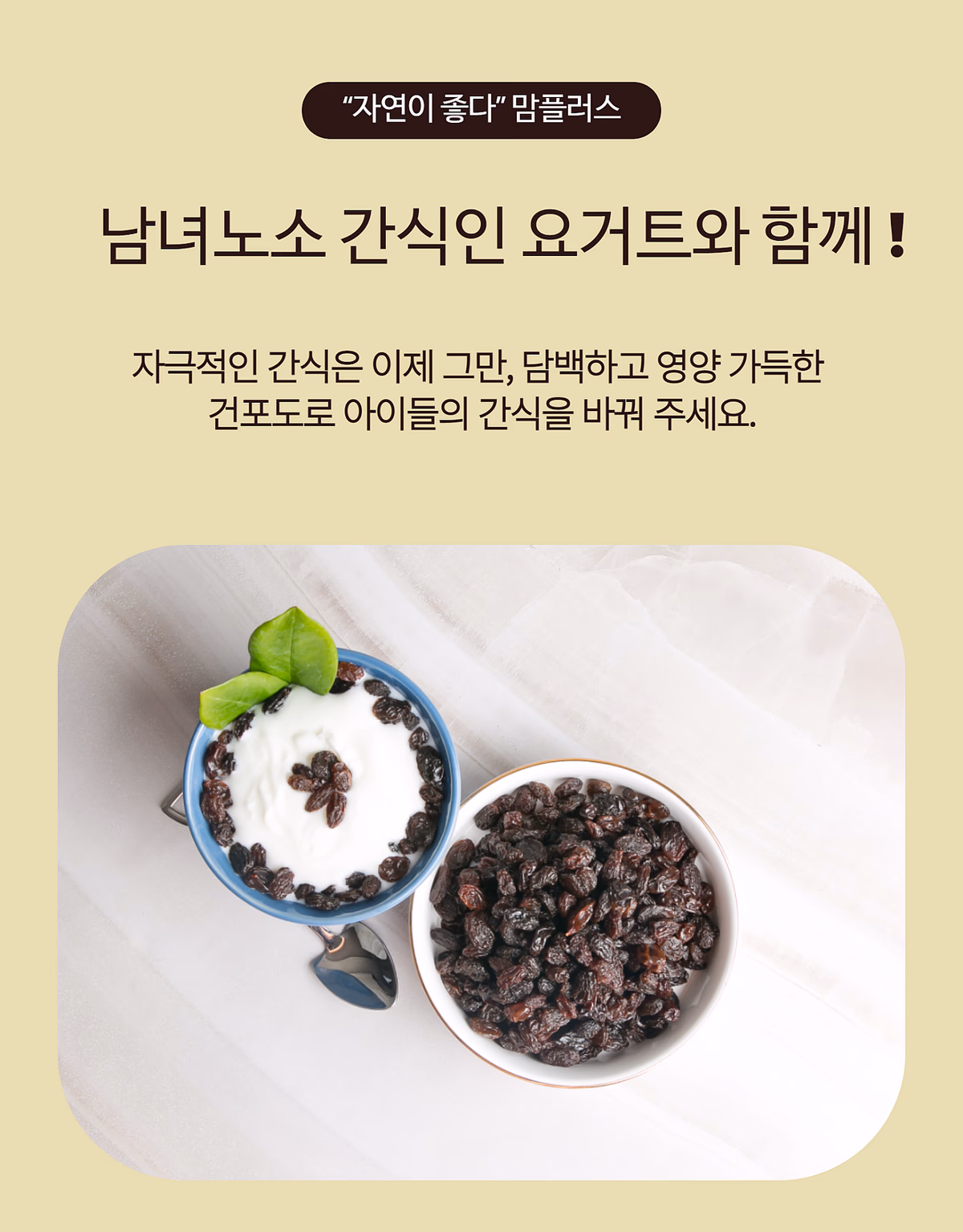 요거트에 건포도 크랜베리 올린 활용 컷 — 아침 식사 연출