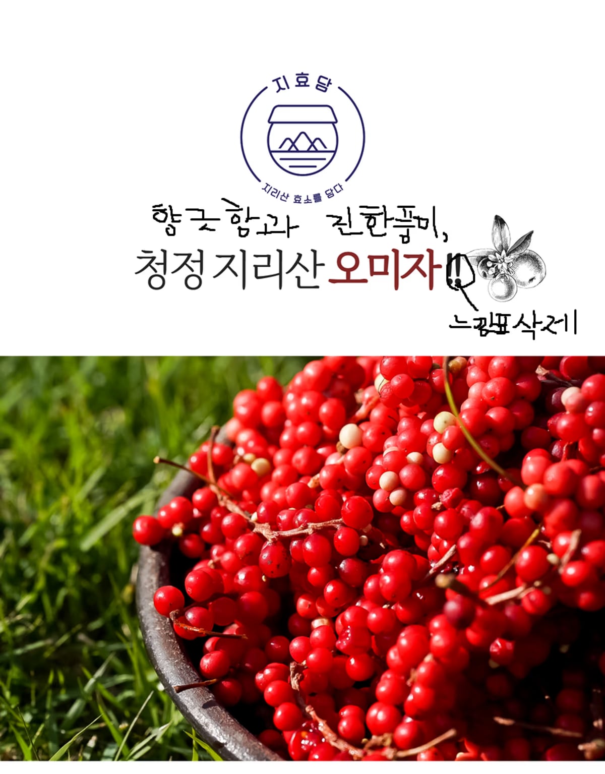 오미자 원액 디테일 — 색감과 용기