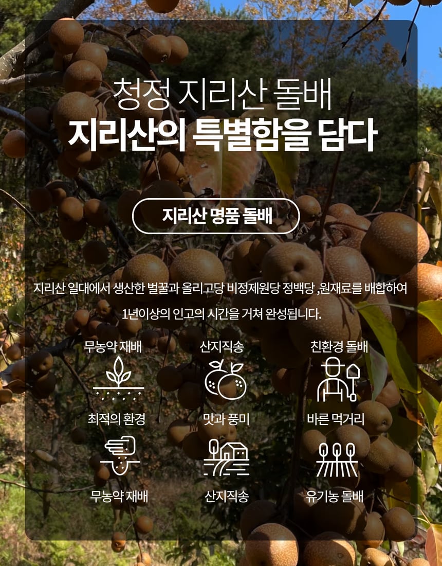 돌배 액기스 역광 컷 - 호박색 맑은 질감 표현