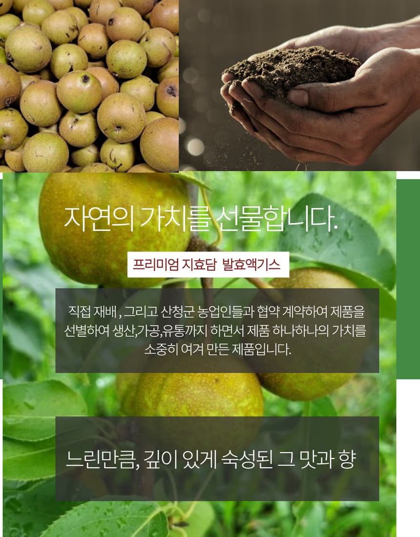 오미자 열매와 제품 구성 컷 - 원재료 신뢰감